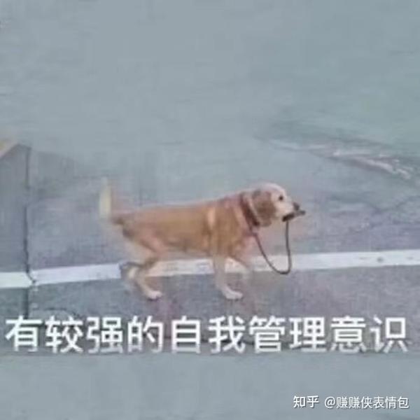 热门表情包图片:有较强的自我管理意识