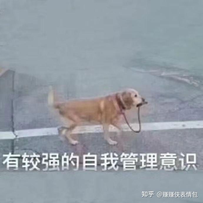 热门表情包图片有较强的自我管理意识