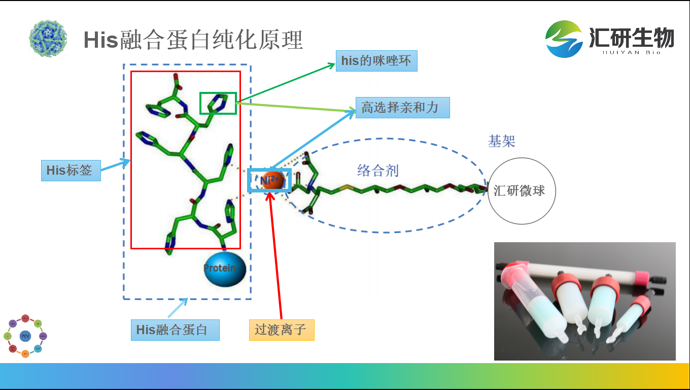 his标签蛋白纯化全攻略