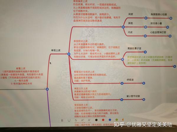 组织学被覆上皮思维导图