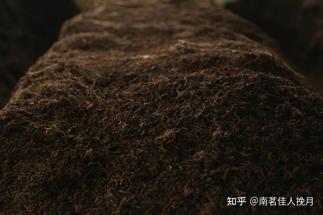 用夏秋茶来发酵的熟茶更好喝吗