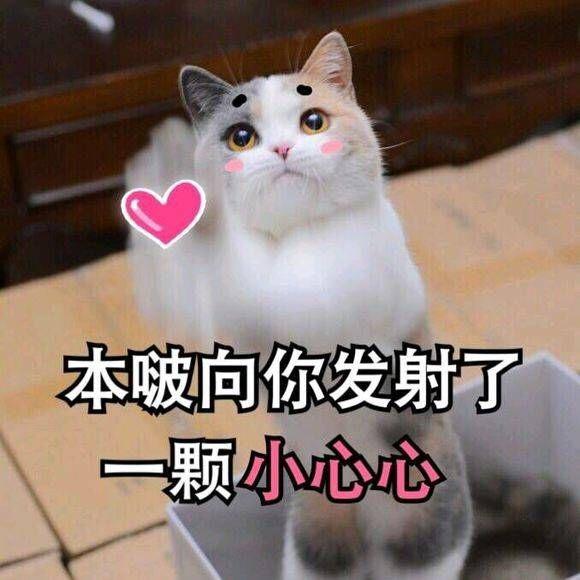 有什么适用于和老公/男票撒娇的可爱表情包?