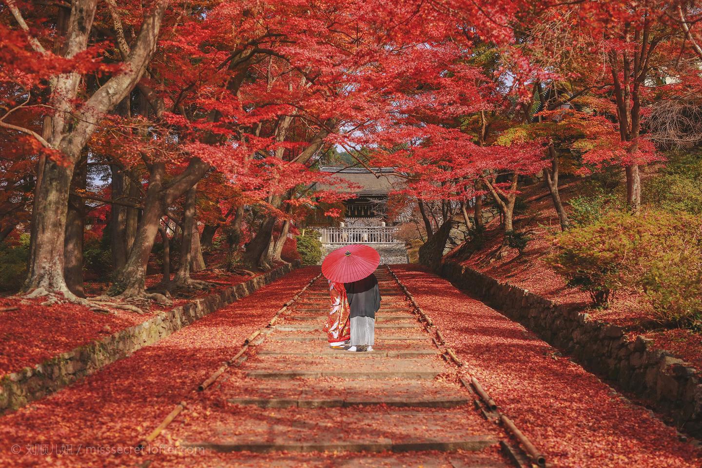 日本10月初解禁留学生入境限制取消每天最多入境1000人