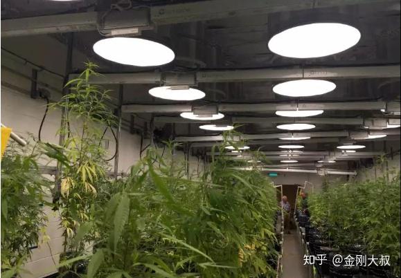 可调节的管道式日光照明系统你值得拥有