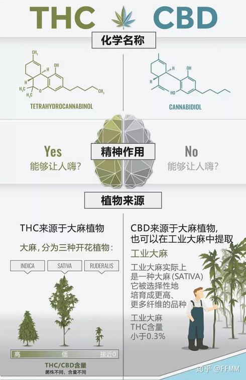 cbd(大麻二酚)癌症治疗