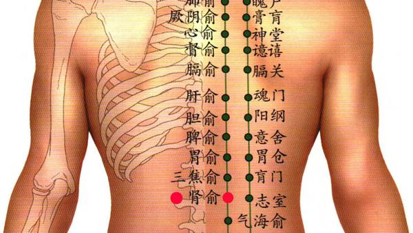 施灸时间:每日灸1次,每次灸3~15分钟,灸至皮肤产生红晕为止. 位置