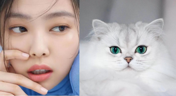 猫系少女jennie可奶可凶太迷人