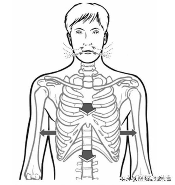肋骨外翻,锁骨窝凹陷,肩背疼痛都是呼吸惹的祸,或许你需要重新认识一