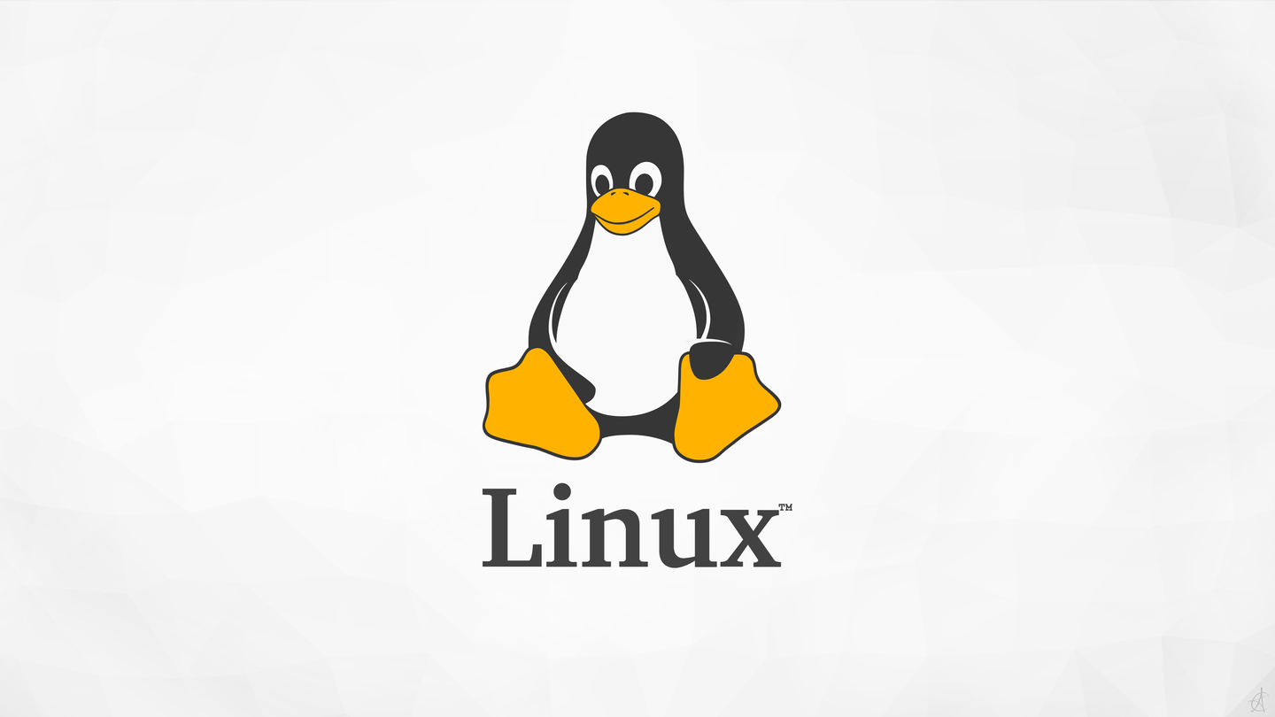 linux内核是如何管理内存的?