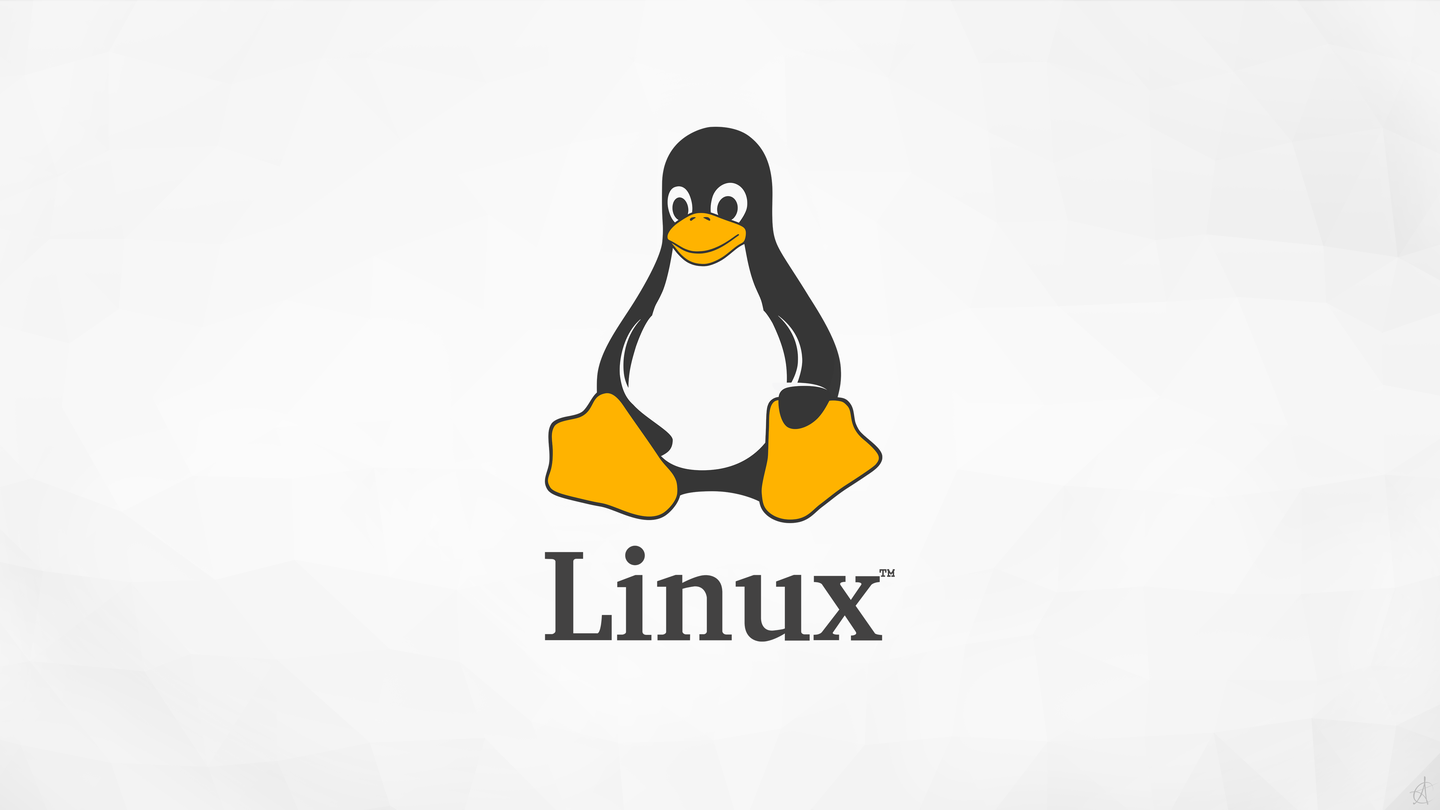 linux内核是如何管理内存的