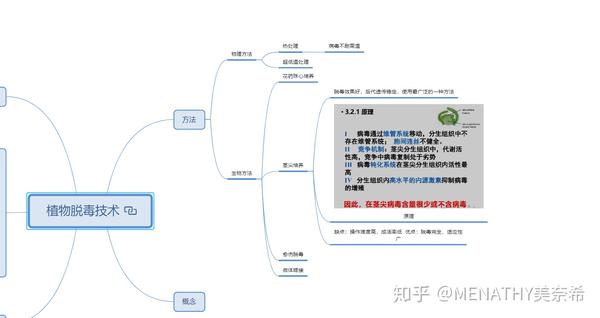 植物细胞工程思维导图