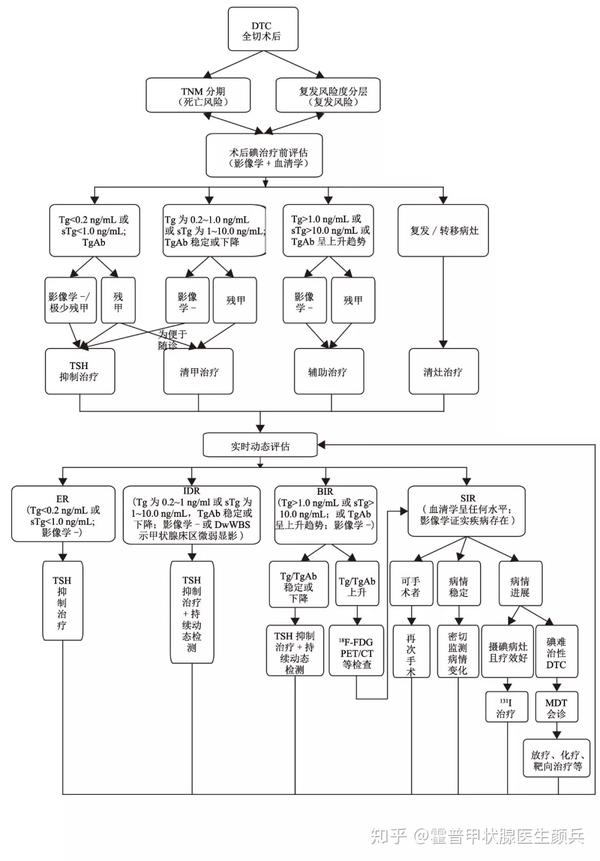 1 分化型甲状腺癌术后评估及治疗流程图