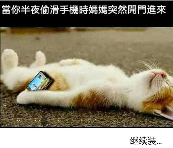 秀翻全场的搞笑图片(2)