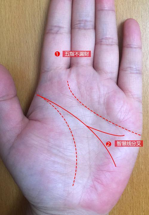 仁泽易道:这种手相的人特别适合创业,必定会发财!