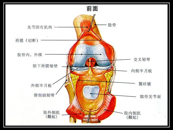 我们的膝关节真的不容易,请你务必善待它(之一)