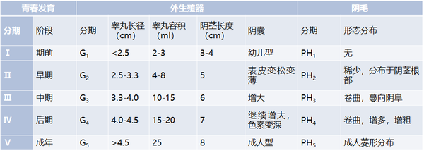 男性外生殖器,阴毛发育的tanner分期表