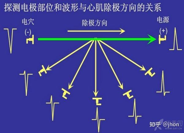 心电图基础——心脏传导系统及测量原理