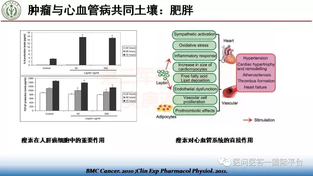 课件分享曾春雨吴庚泽肿瘤和心脏病不同的疾病共同的土壤