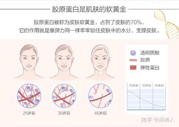 视黄醇也叫维生素a,也叫a醇,除了增强免疫力还有美容护肤的作用,对于