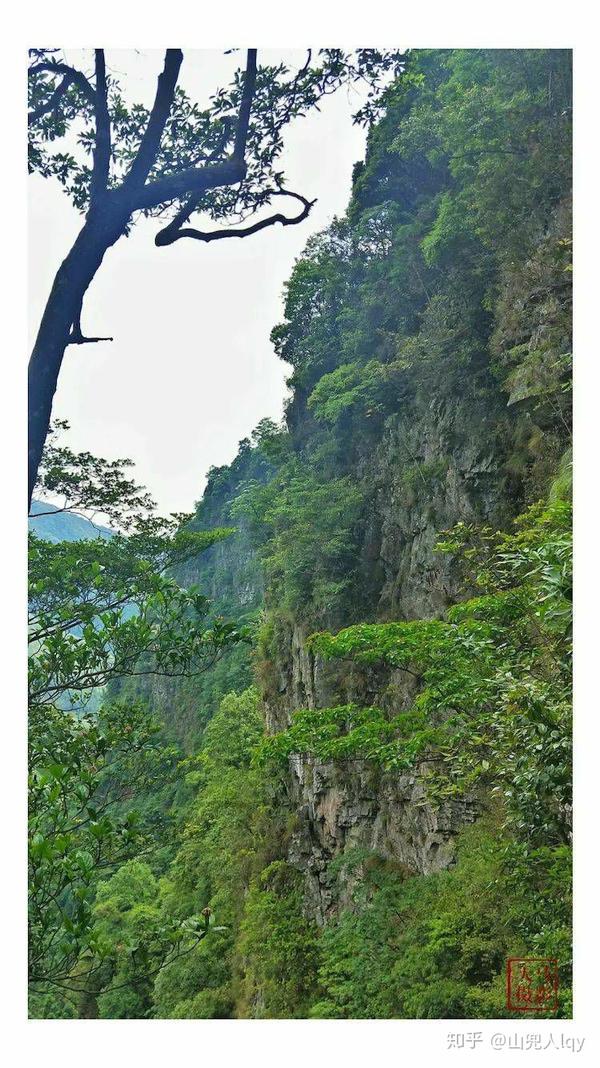 半山腰风景