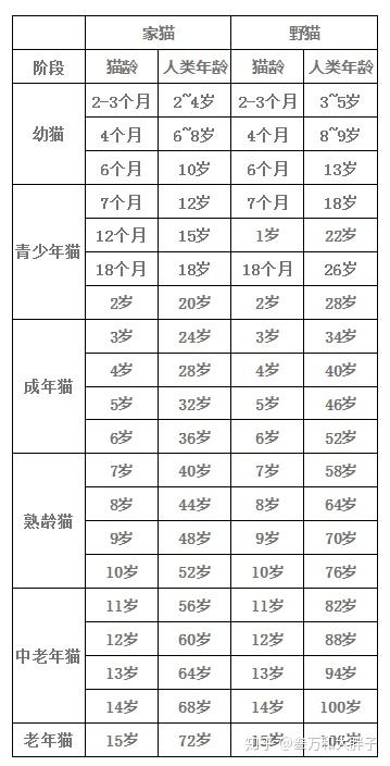 猫咪年龄和人类年龄对照表