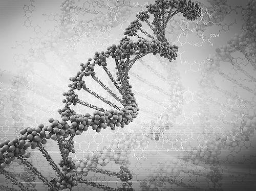 naturegenetics内源性dna双链断裂的元凶polii的停顿与释放