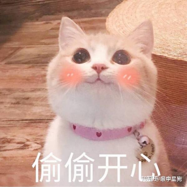 更新啦……考虑到很多小伙伴找我要表情包的情况^ ^我也不太好一条条