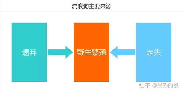 在中国,据不完全统计,中国平均每年有4000万只流浪狗,这个数量太多了