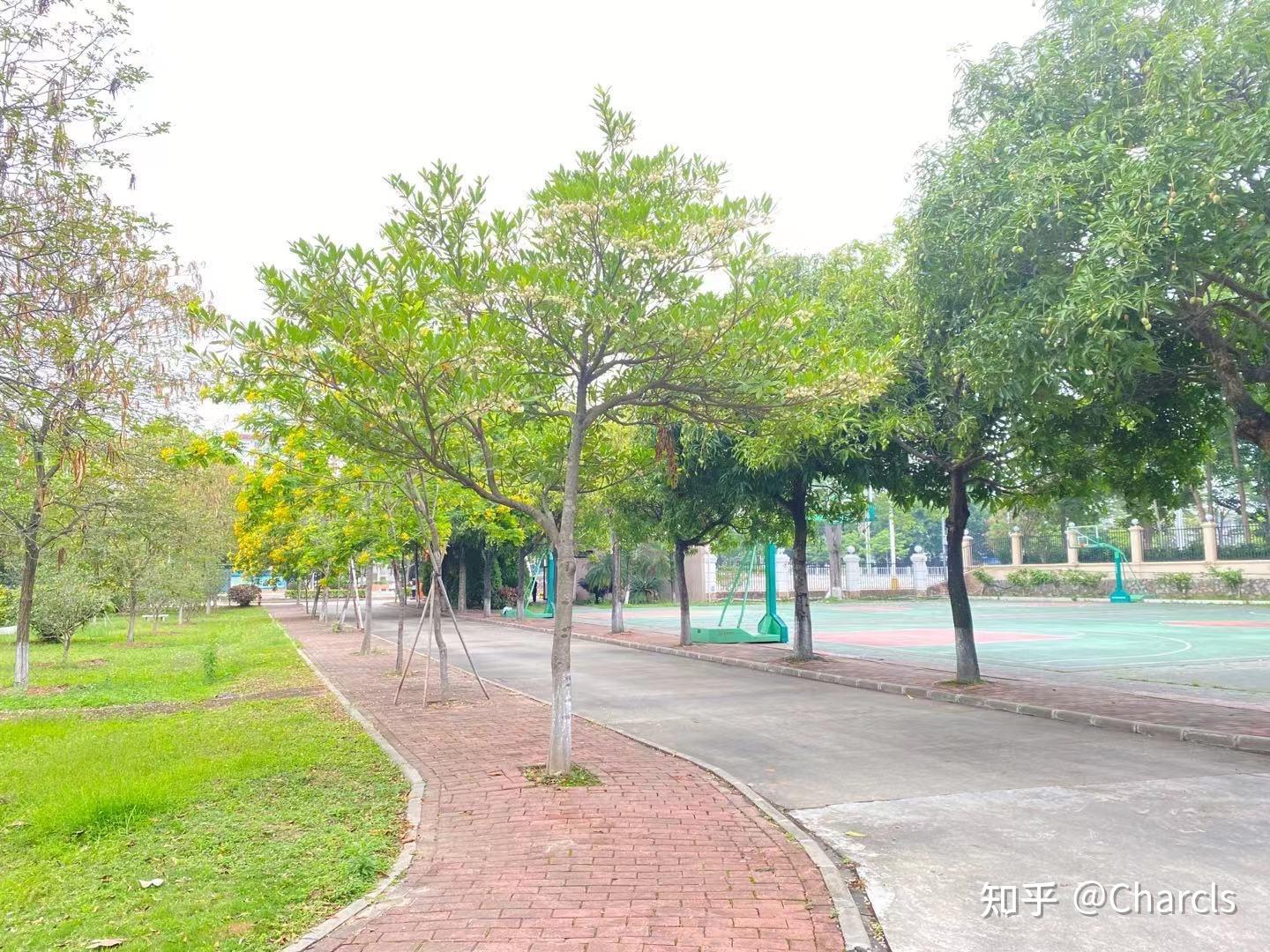 广州卫生职业技术学院从化校区