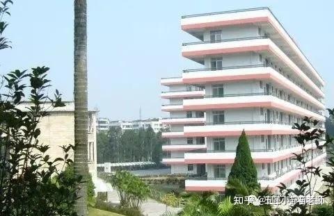 探校新会葵城中学学校介绍