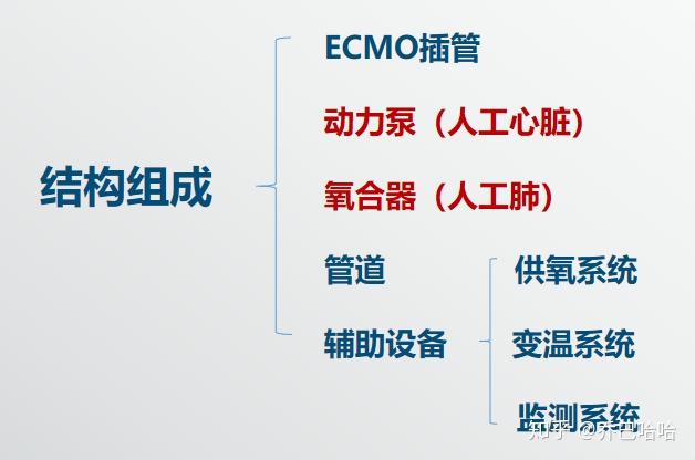 ecmo(人工肺)