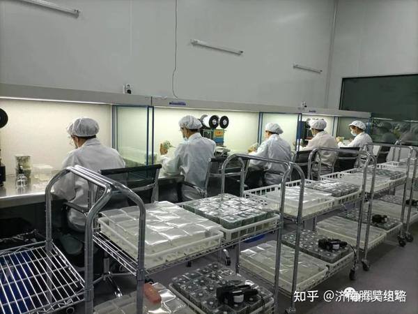 品牌:腾昊 型号:ht-ii 材质:304不锈钢 适用范围:组培种苗工厂,科研