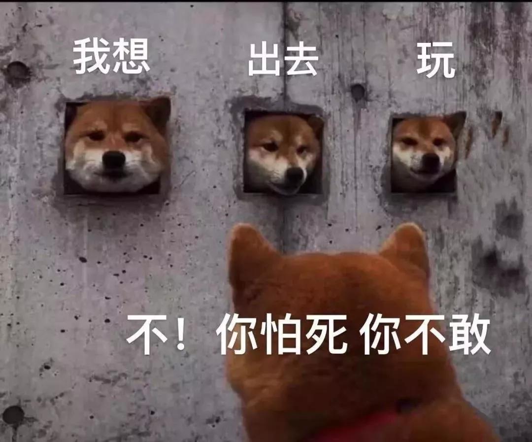 宅在家(无聊)的朋友圈文案