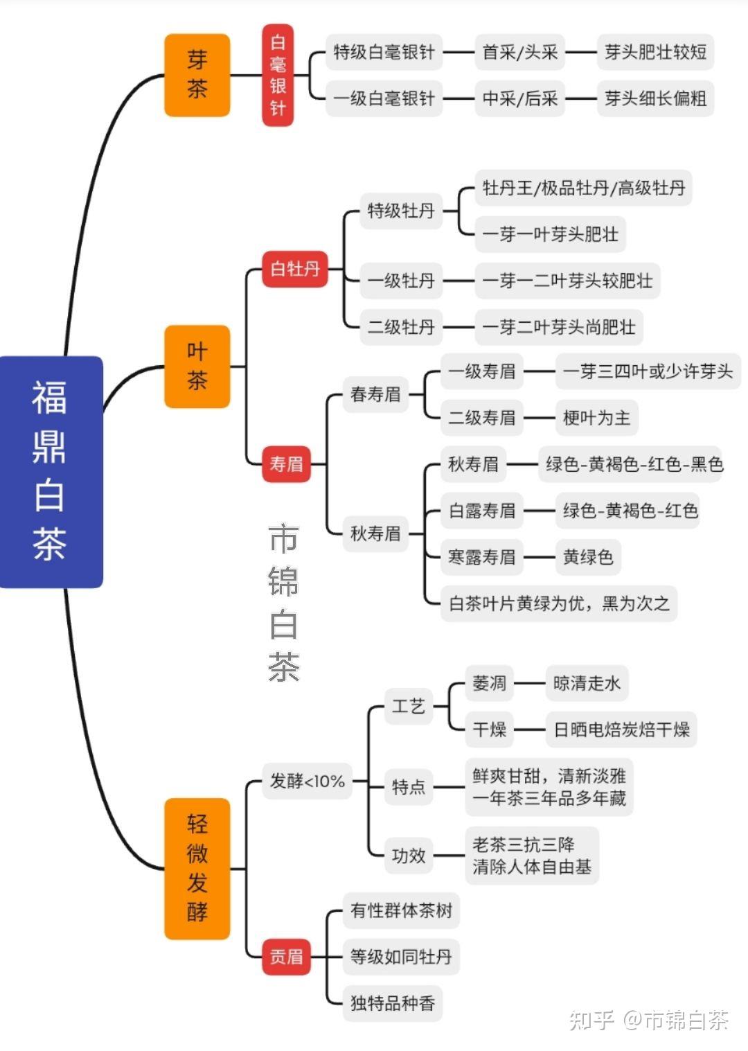 一张图认识福鼎白茶