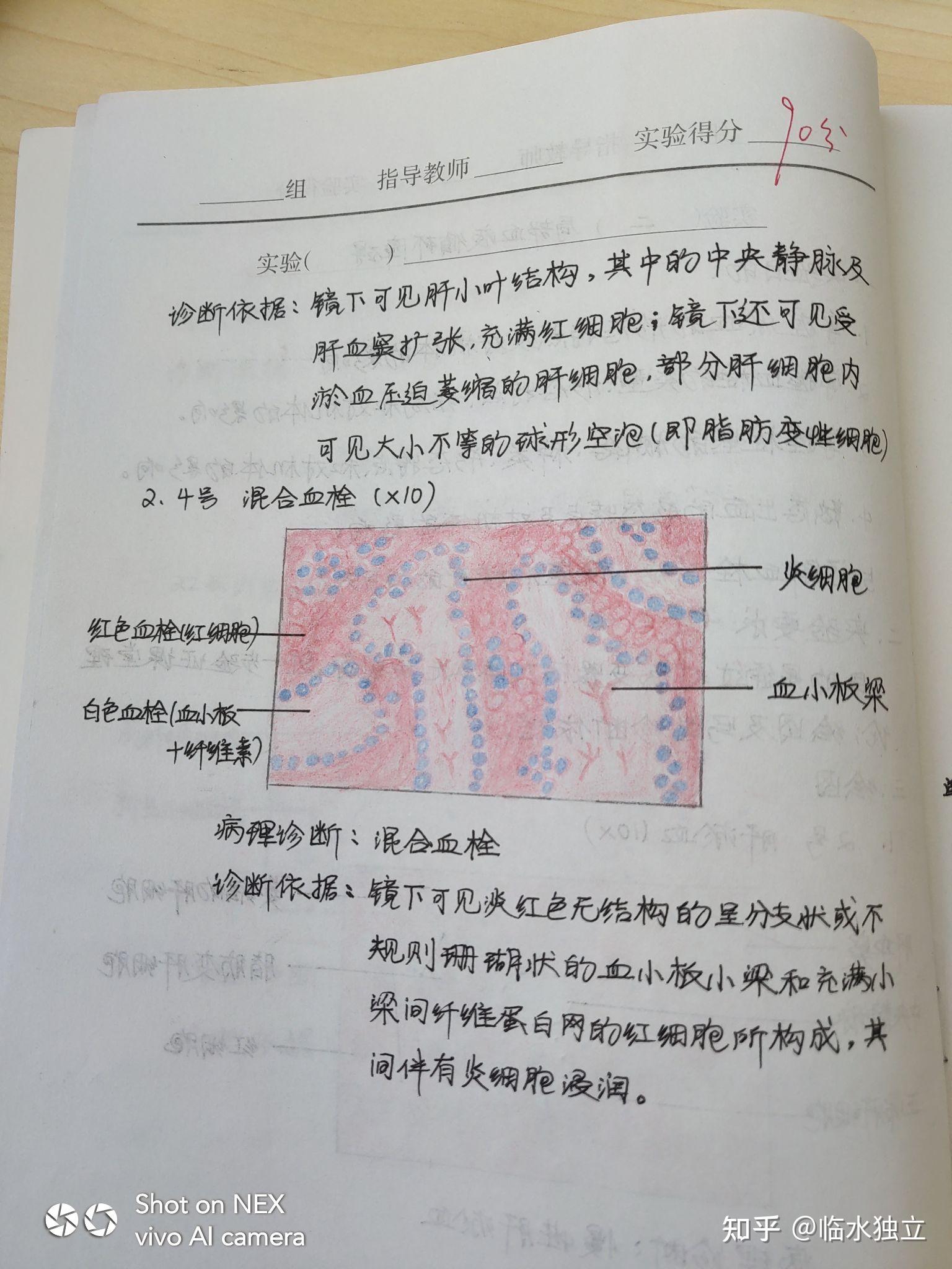 为什么咱们不弄个病理红蓝手绘图的问题呢