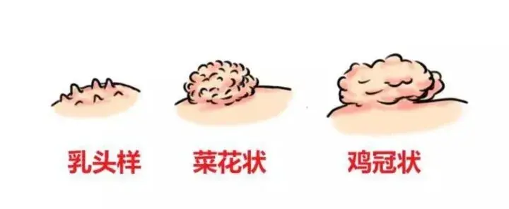 知乎