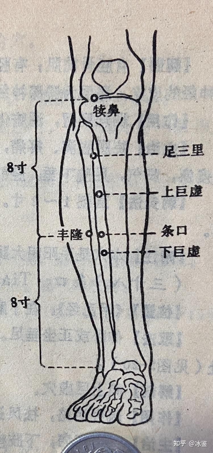 玉虚玄学风水课程玉虚玄针十四经经穴足阳明胃经经穴