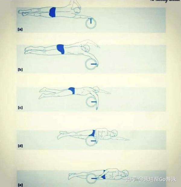 把自由泳划手分成6个部分,「哪里不对练哪里」,专注力