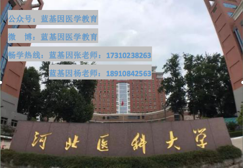 河北医科大学研究生好考吗蓝基因