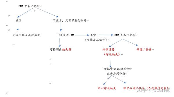 阳性的dna甲基化检测结果的准确率>99%,证明该个体有小胖威利综合征.