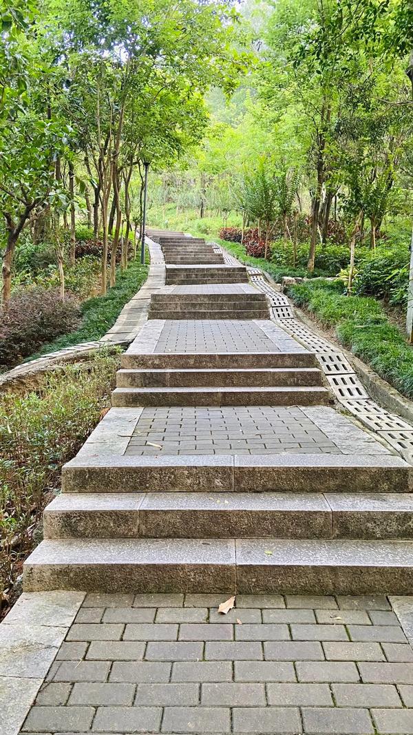 深圳黄金山公园,趁周末节假日游玩龙岗坂田"绿心公园"