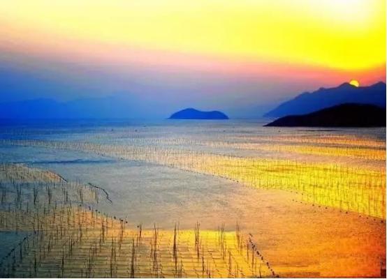 福州霞浦风光夕阳下的滩涂海滩摄影雁荡山宁波普陀山