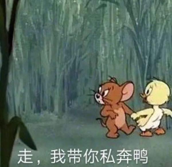 猫和老鼠之小黄鸭表情包