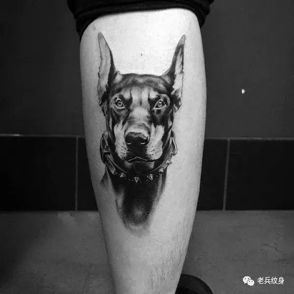 纹身素材杜宾犬