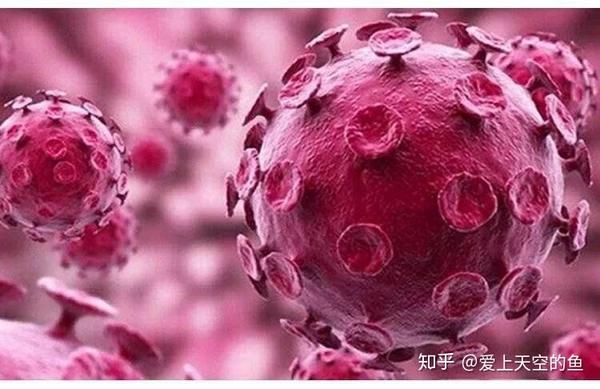hpv高危型人乳头瘤病毒(瑞贝安)