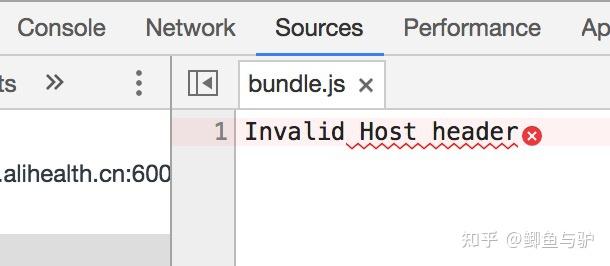 "webpack-dev-server-disablehostcheck=true-inline-progress