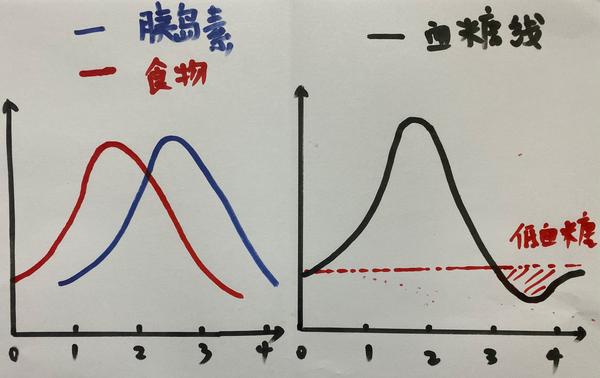食物和胰岛素如何匹配餐后血糖怎么就变平稳了