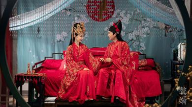 电视剧《赘婿》分集剧情介绍第11-12全集