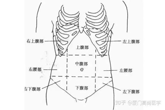 ct及mr扫描中上腹部,中腹部,下腹部的界限如何划分?