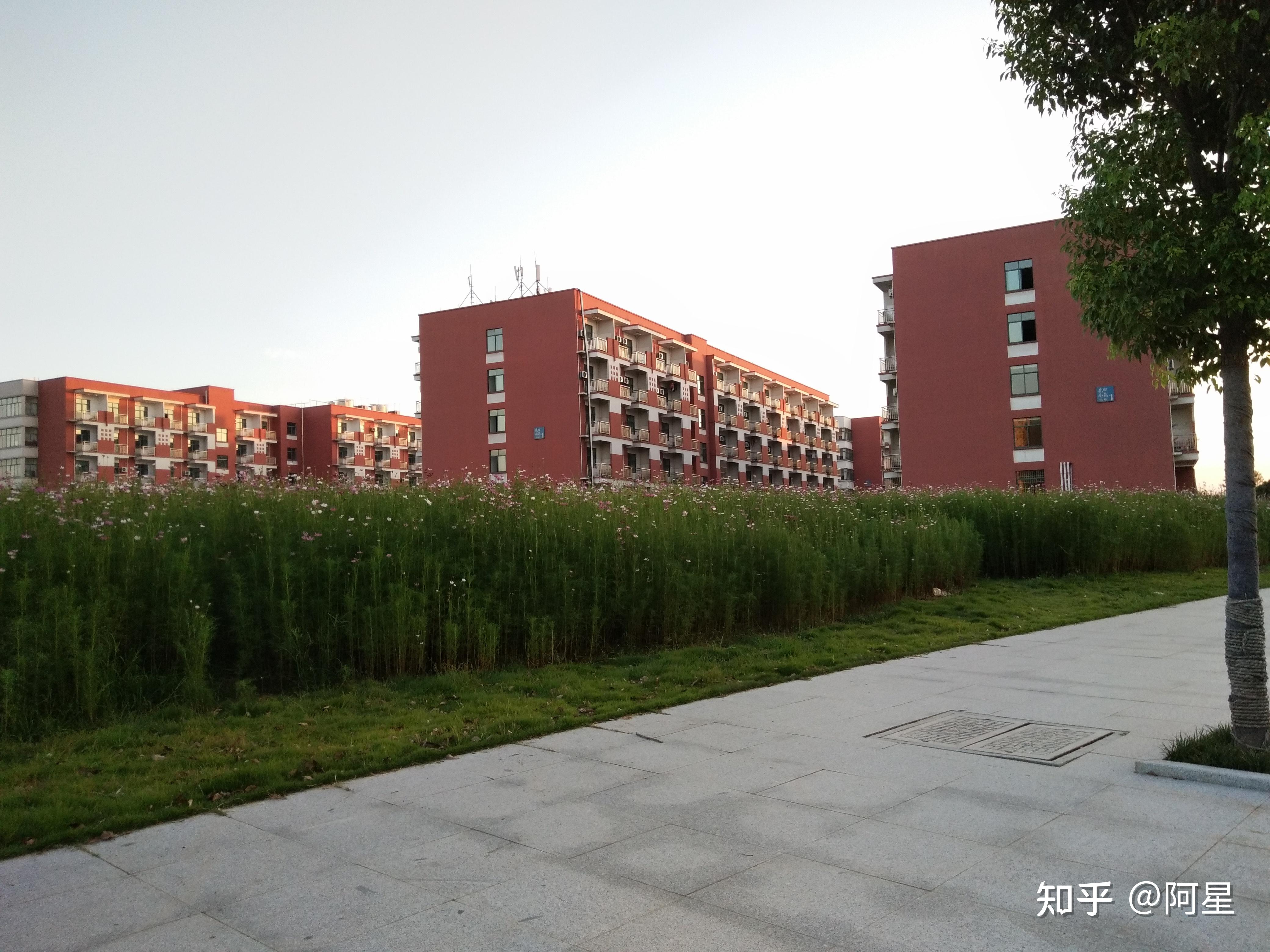 金华职业技术学院的校园环境如何